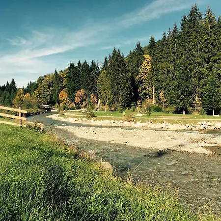 Apartment Townville Flachau