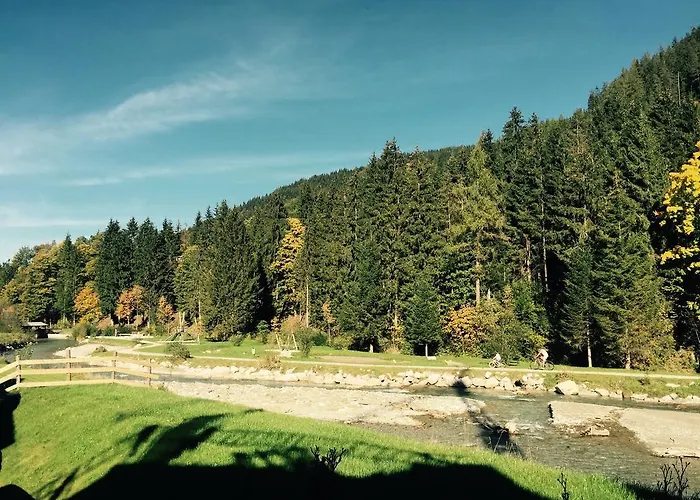 Townville 플라차우